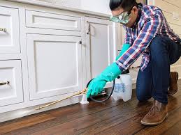 Best Pest Prevention Services  in Jourdanton, TX